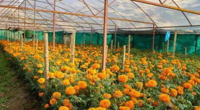 पुष्प व्यवसाय