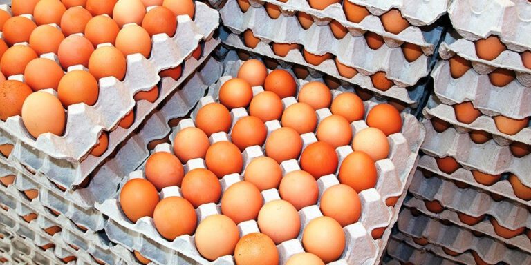 The current image has no alternative text. The file name is: egg.jpg