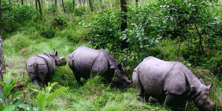 The current image has no alternative text. The file name is: Gaida.jpg