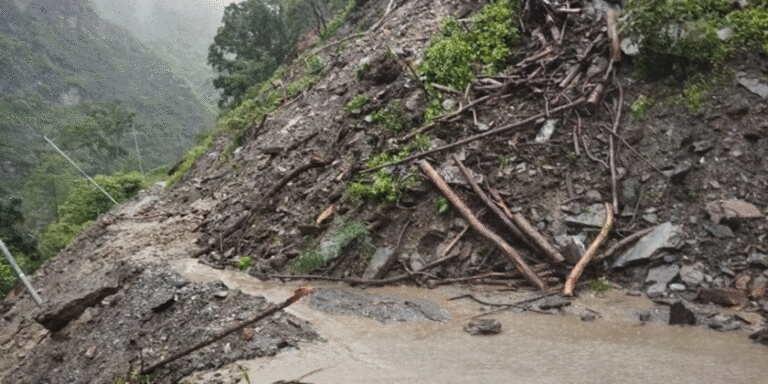 The current image has no alternative text. The file name is: beni-jomsome-road-12.gif