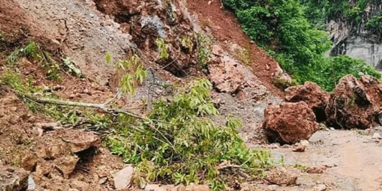 The current image has no alternative text. The file name is: sukka-pahiro.gif