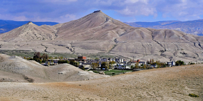 The current image has no alternative text. The file name is: mustang.gif