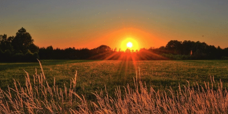 The current image has no alternative text. The file name is: garmi.gif