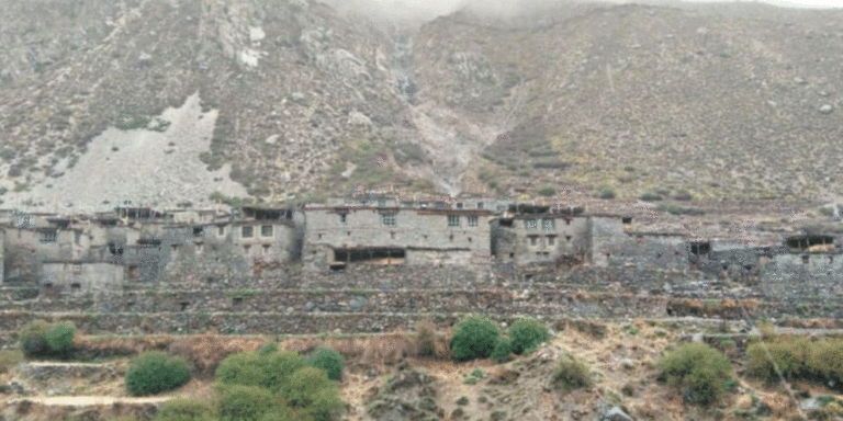 The current image has no alternative text. The file name is: humla.gif