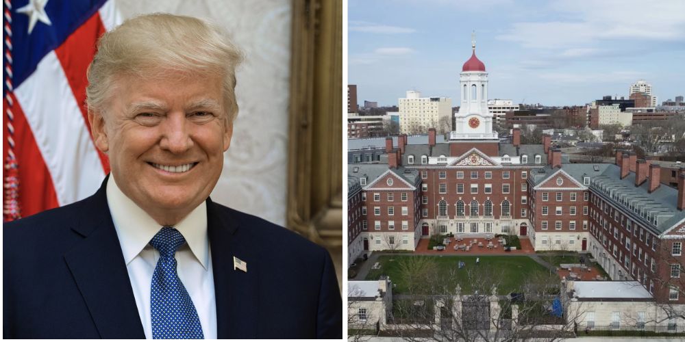 हार्वर्ड विश्वविद्यालय