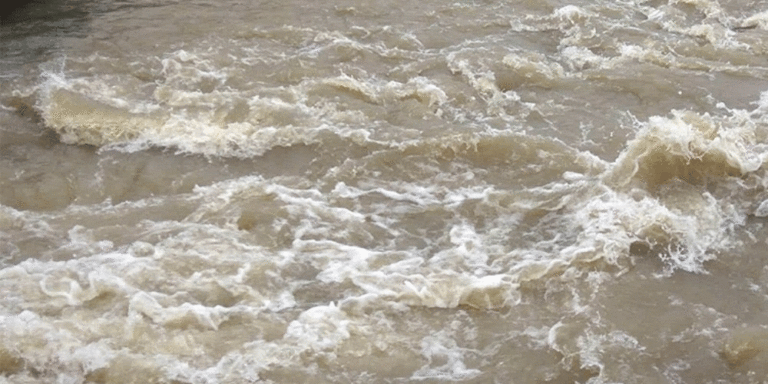 The current image has no alternative text. The file name is: Badhi-3.gif