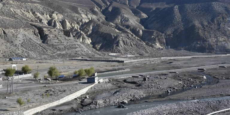 The current image has no alternative text. The file name is: mustang-1.gif