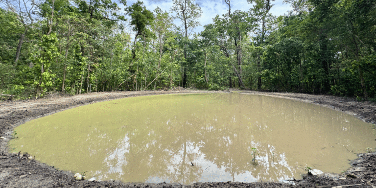 The current image has no alternative text. The file name is: water.gif