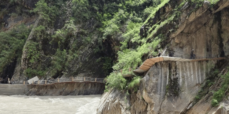The current image has no alternative text. The file name is: bato.gif