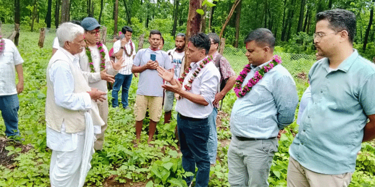 The current image has no alternative text. The file name is: bawon.gif