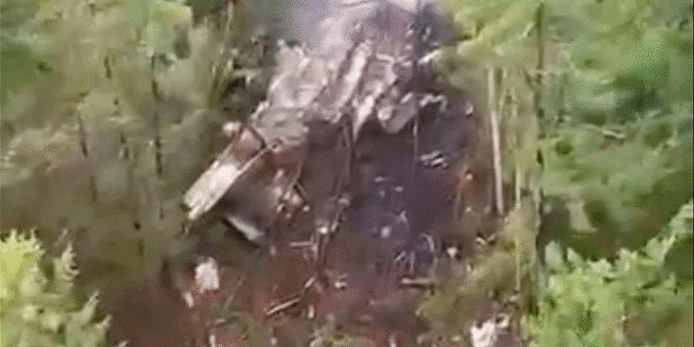 The current image has no alternative text. The file name is: biman.gif