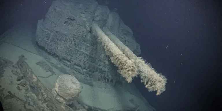 The current image has no alternative text. The file name is: japan.gif