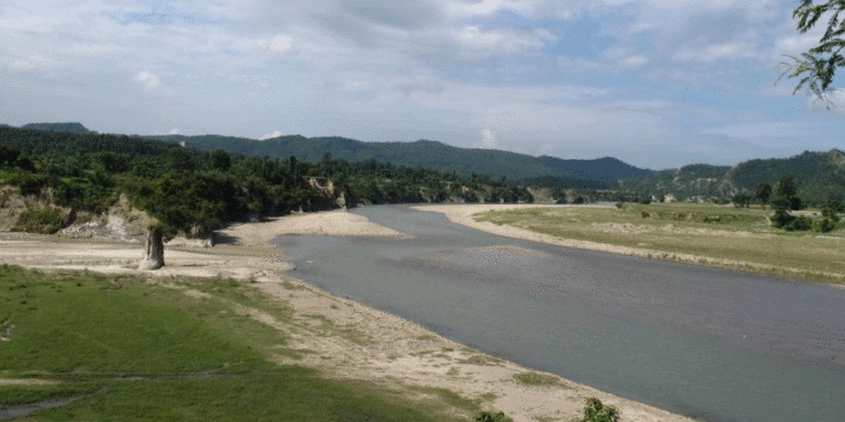 The current image has no alternative text. The file name is: kamala-nadi.gif
