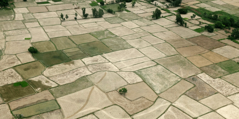 The current image has no alternative text. The file name is: madesh-dry-land.gif