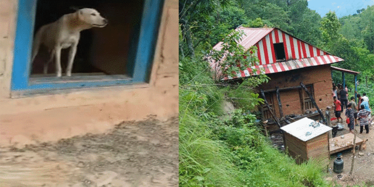 The current image has no alternative text. The file name is: sindhuli1.gif