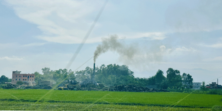 The current image has no alternative text. The file name is: siraha.gif
