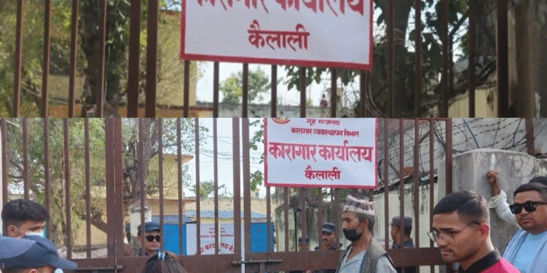 The current image has no alternative text. The file name is: Kailali.gif