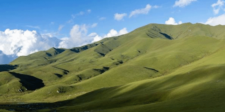 The current image has no alternative text. The file name is: badimalika.gif