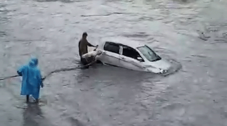 The current image has no alternative text. The file name is: car.gif