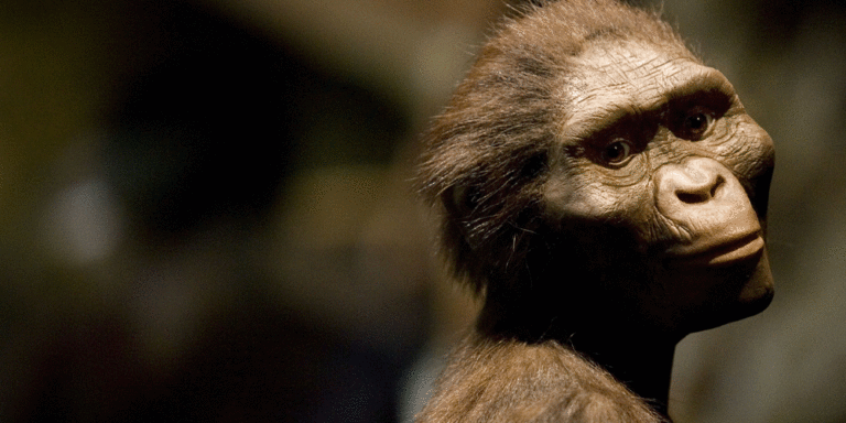 The current image has no alternative text. The file name is: lucy.gif