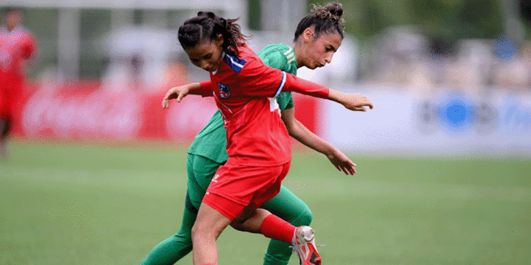 The current image has no alternative text. The file name is: nepal.gif