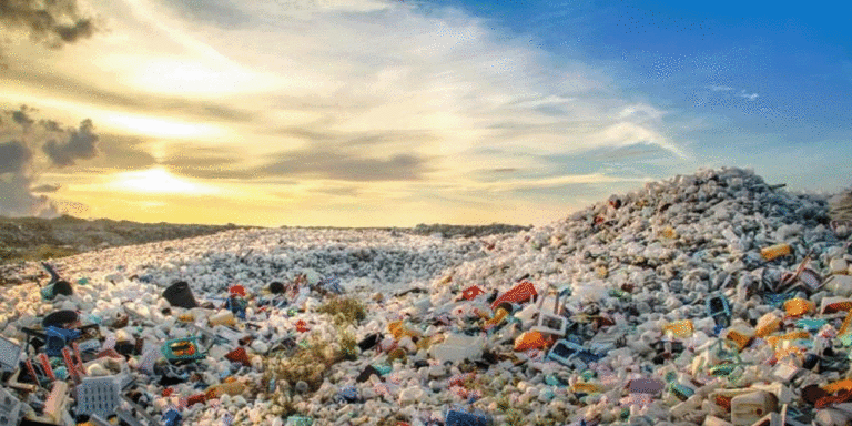 The current image has no alternative text. The file name is: pollution.gif