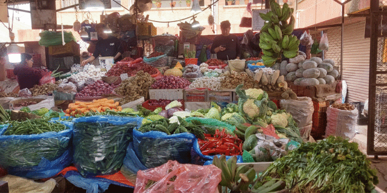 The current image has no alternative text. The file name is: vegitable.gif