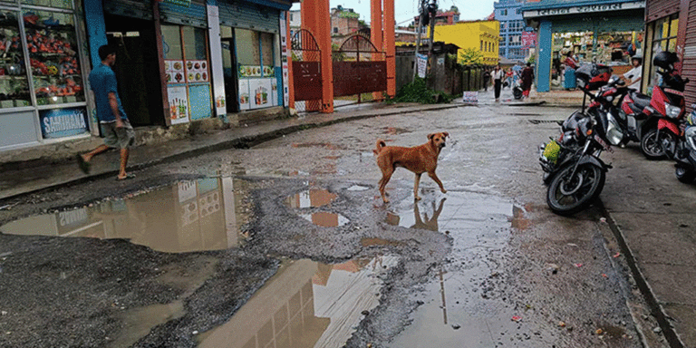 The current image has no alternative text. The file name is: baglung.gif