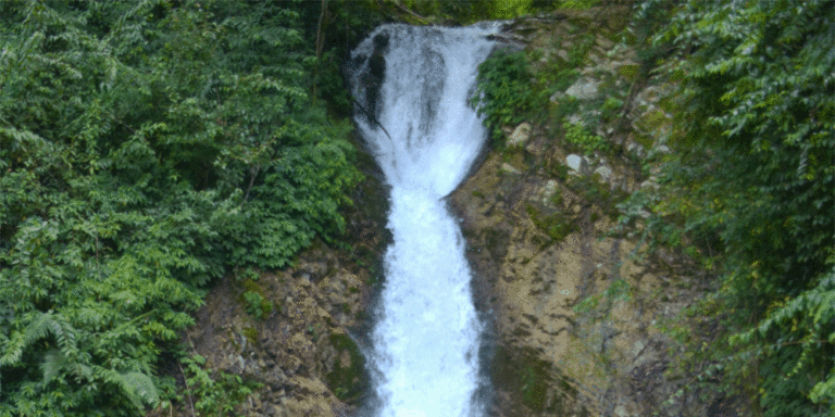 The current image has no alternative text. The file name is: jharna.gif