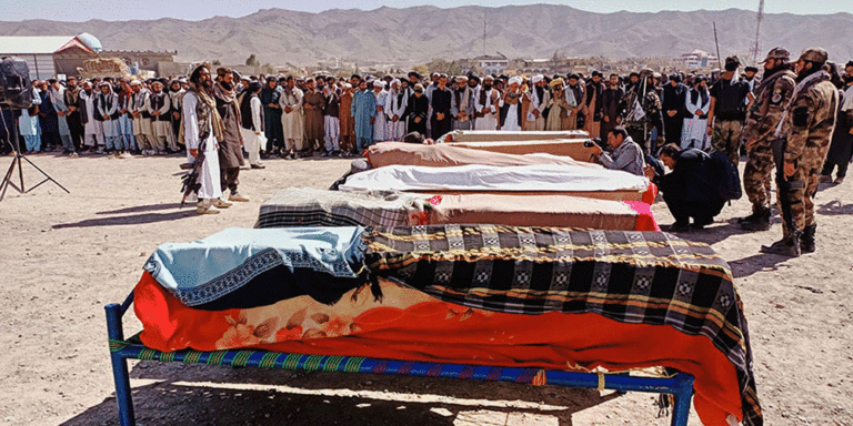 The current image has no alternative text. The file name is: afgan.gif