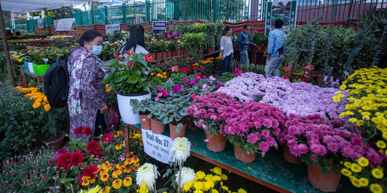 The current image has no alternative text. The file name is: flower.jpg