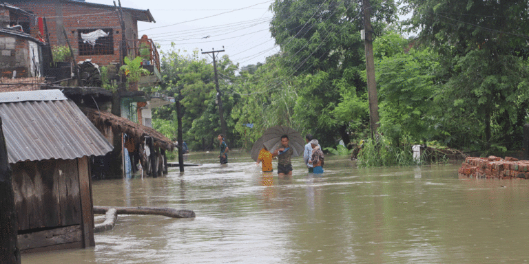 The current image has no alternative text. The file name is: sunsari.gif
