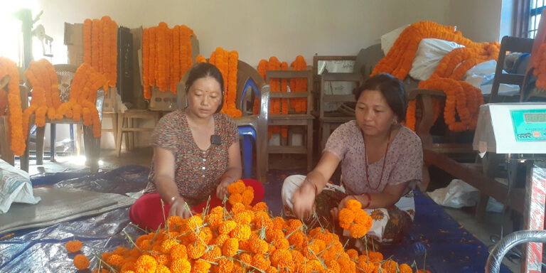 The current image has no alternative text. The file name is: tihar.jpg