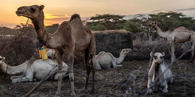 The current image has no alternative text. The file name is: ut.jpg