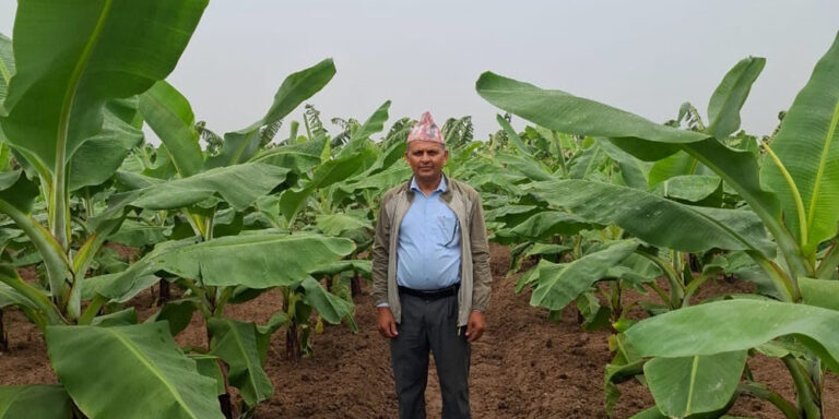 The current image has no alternative text. The file name is: kerakheti.jpg