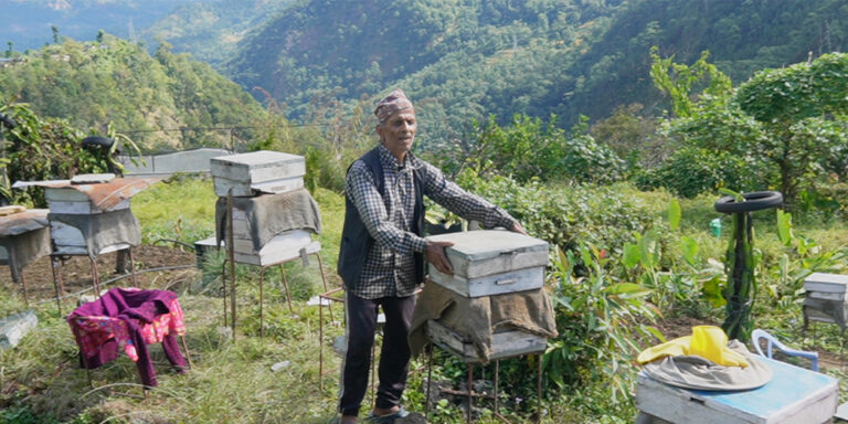 The current image has no alternative text. The file name is: mauri.jpg