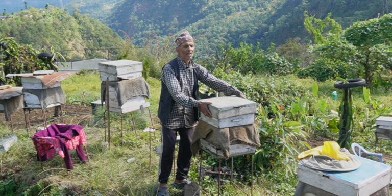 The current image has no alternative text. The file name is: mauripalan.jpg