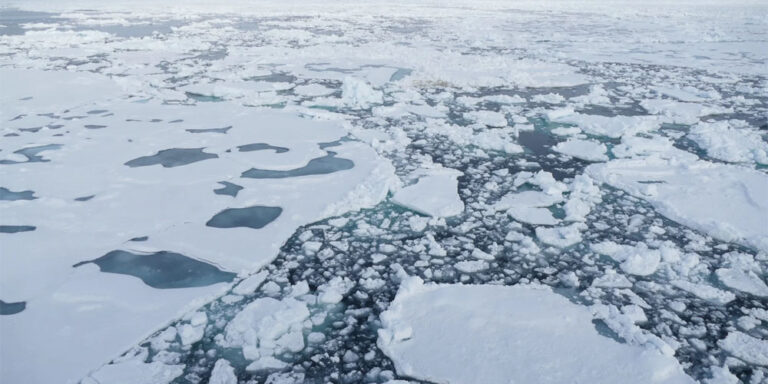 The current image has no alternative text. The file name is: arctic.jpg