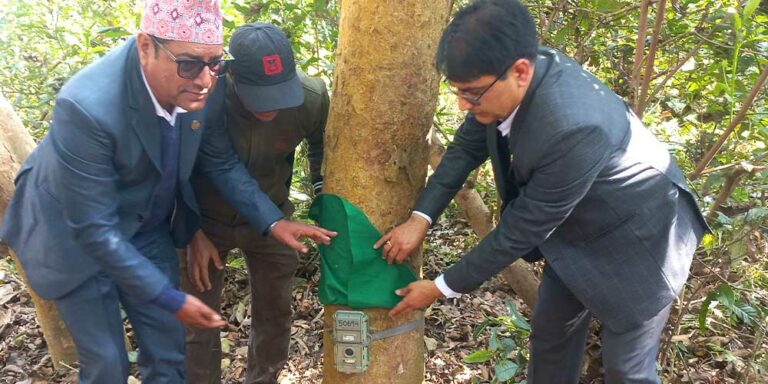 The current image has no alternative text. The file name is: camera-jadan.jpg