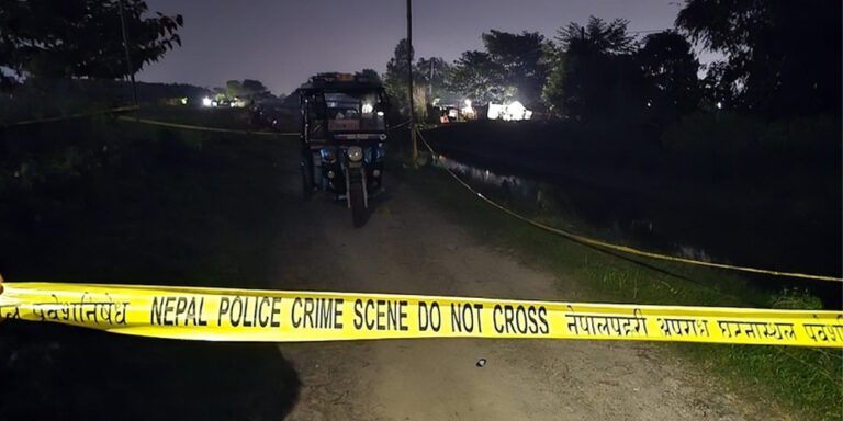 The current image has no alternative text. The file name is: city-safari.jpg