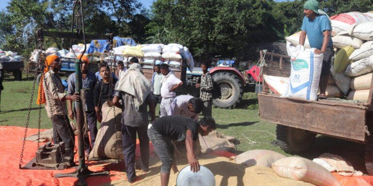 The current image has no alternative text. The file name is: dhan.jpg