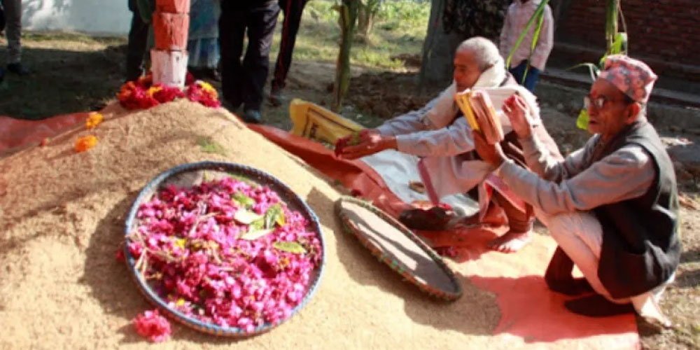 मार्गशीर्ष शुक्ल पूर्णिमाः धानको पूजा गरी मनाइयो धान्यपूर्णिमा