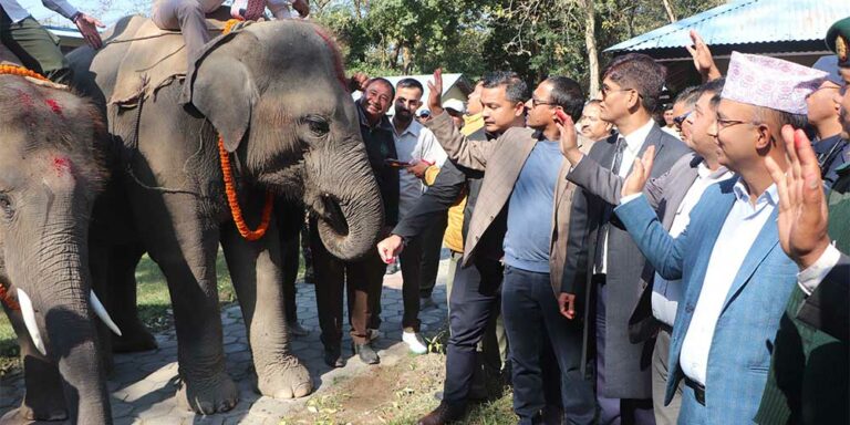 The current image has no alternative text. The file name is: hatti-bidai.jpg