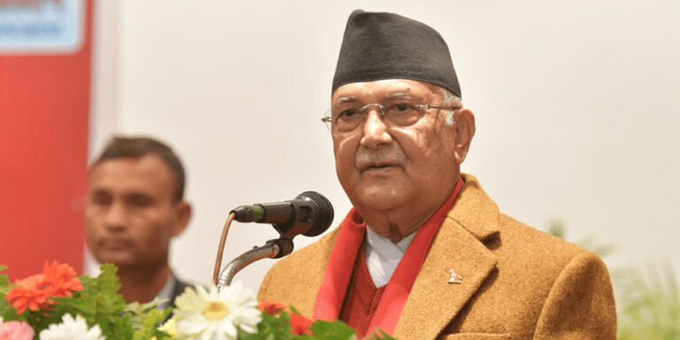 The current image has no alternative text. The file name is: kp-oli-5.jpg