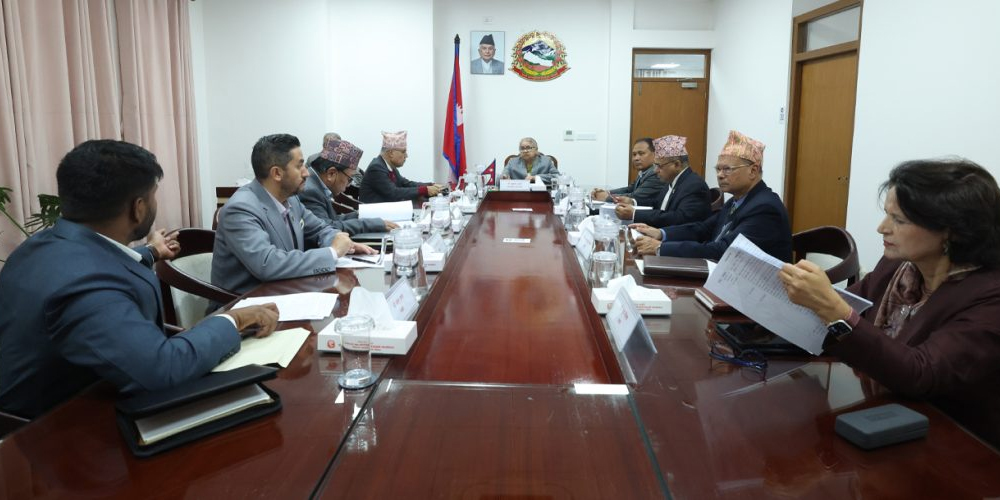 राजनीतिमा लाग्ने मन्त्रीहरूलाई तत्काल पद छोड्न प्रधानमन्त्रीको निर्देशन