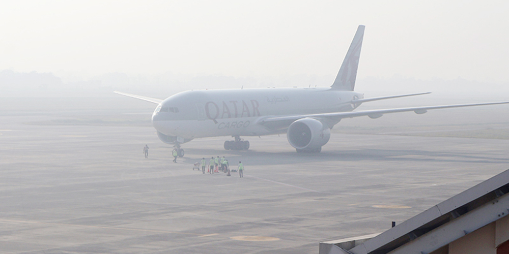 एक जोडी हात्ती लिएर भैरहवाबाट कतार उड्यो जहाज