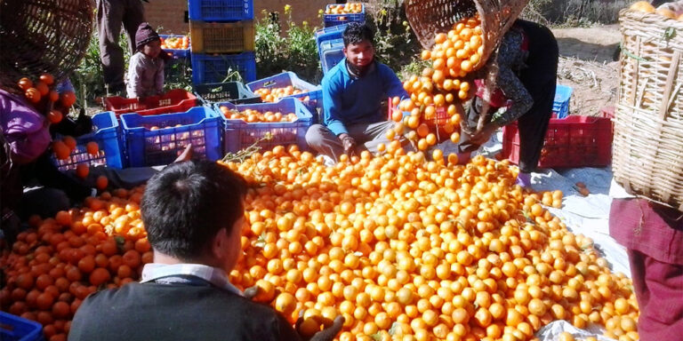 The current image has no alternative text. The file name is: suntala.jpg