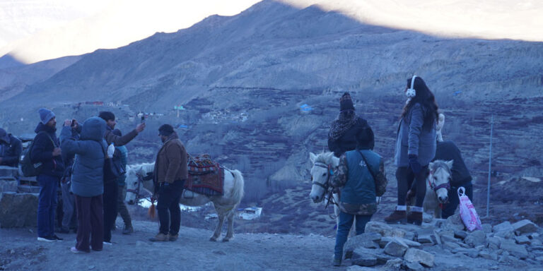 The current image has no alternative text. The file name is: mustang.jpg