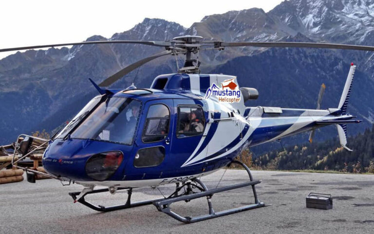 The current image has no alternative text. The file name is: Mustang1.jpg