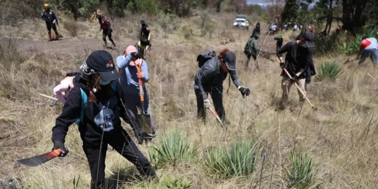 The current image has no alternative text. The file name is: bepata.jpg